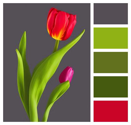 Flowers Ai Generated Tulips Image